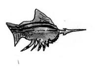 Colonial arrowfish