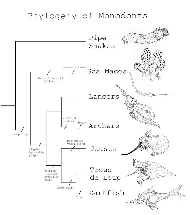 Phylogeny of Monodonts