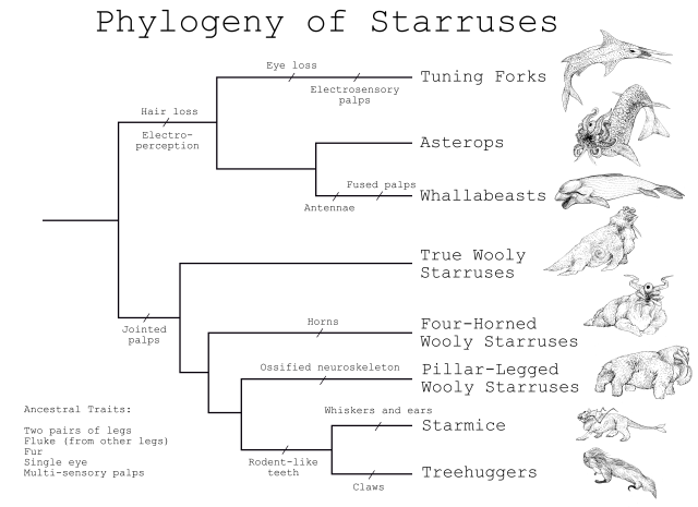 Phylogeny of Starruses.png