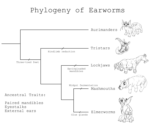 Phylogeny of Earworms