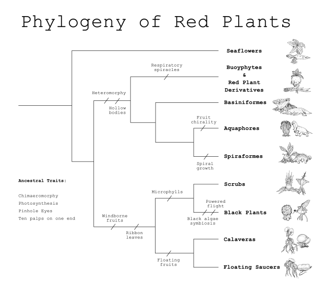 Phylogeny of Red Plants